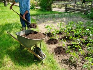 L'indémodable potager traditionnel